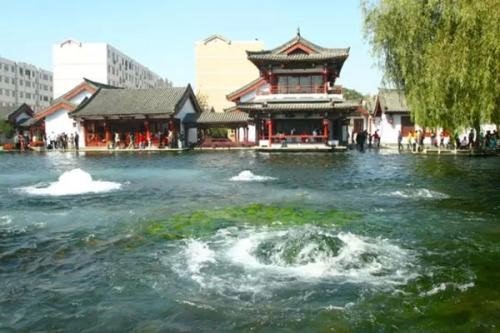 济南的趵突泉里生活着两只斑纹海豹,海豹真的适合在泉水里生存吗?