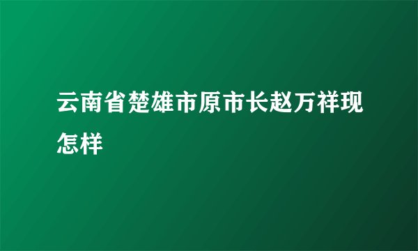 云南省楚雄市原市长赵万祥现怎样
