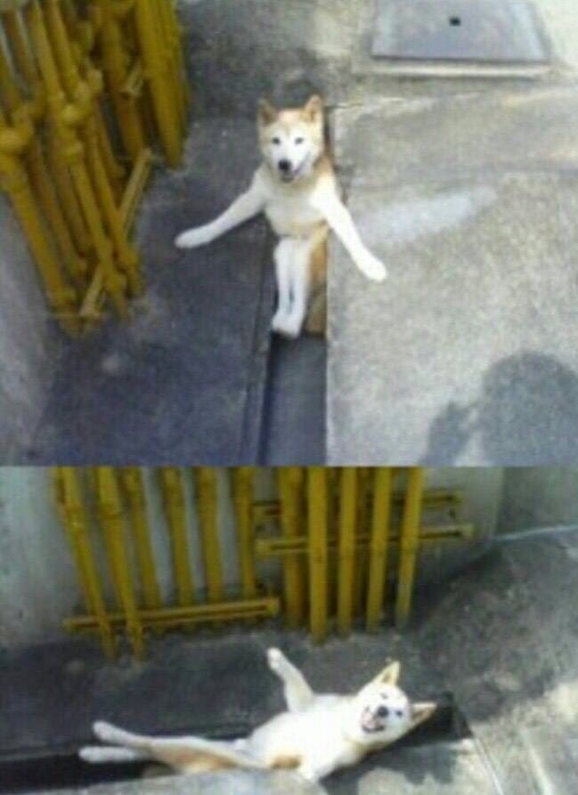 你收集过最搞笑的图片有哪些?