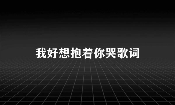 我好想抱着你哭歌词