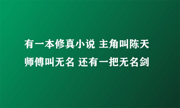 有一本修真小说 主角叫陈天 师傅叫无名 还有一把无名剑