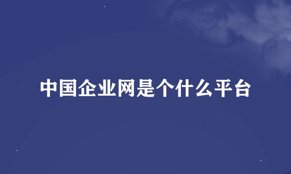 中国企业网是个什么平台