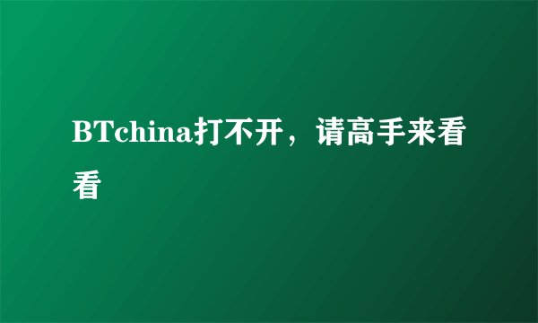 BTchina打不开，请高手来看看