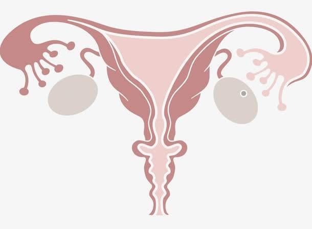 人工流产的最佳时间是什么时候?