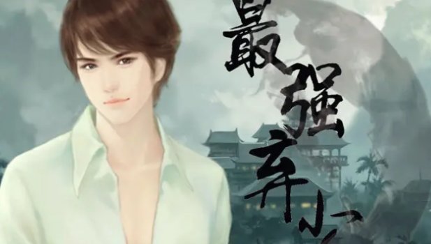 《最强弃少》里面有几个女主