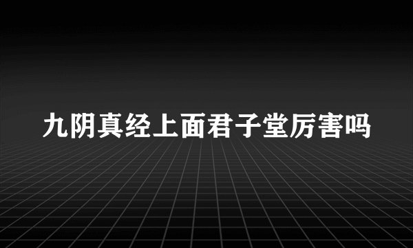 九阴真经上面君子堂厉害吗