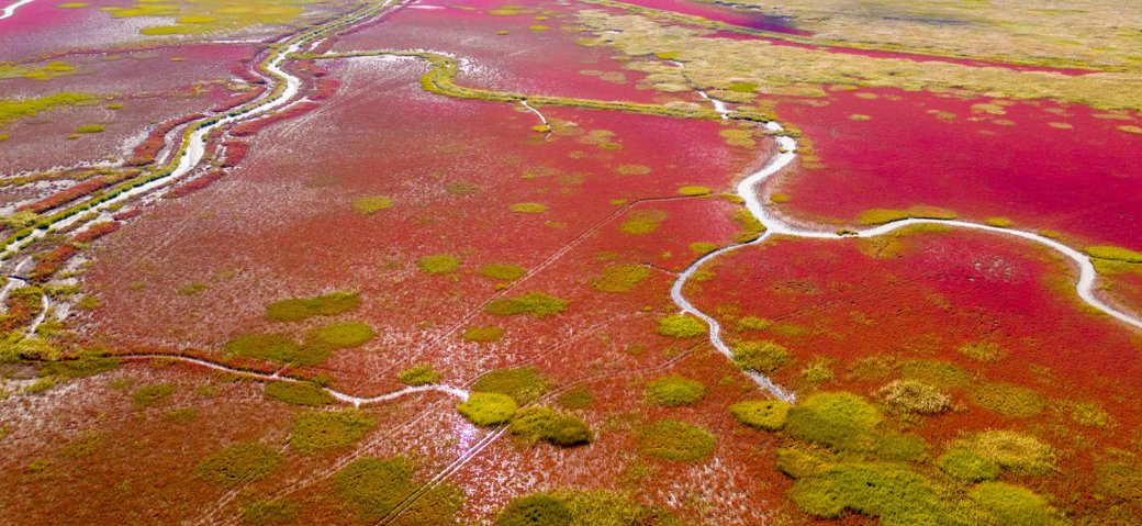 我国再增一项世界遗产名录，具体是哪里申遗成功了？
