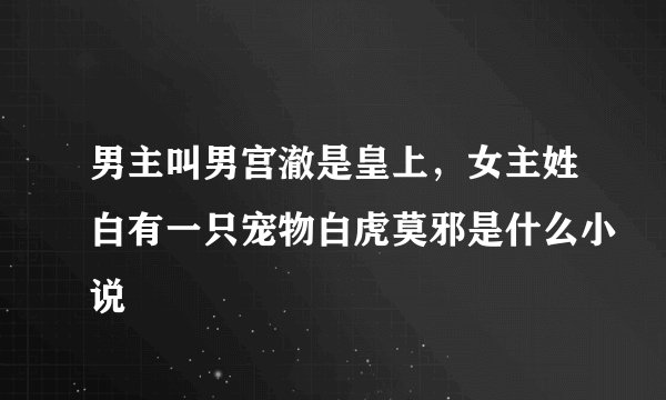 男主叫男宫澈是皇上，女主姓白有一只宠物白虎莫邪是什么小说
