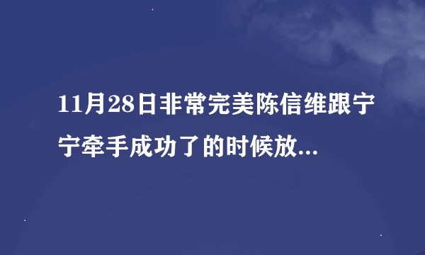 11月28日非常完美陈信维跟宁宁牵手成功了的时候放的是什么歌