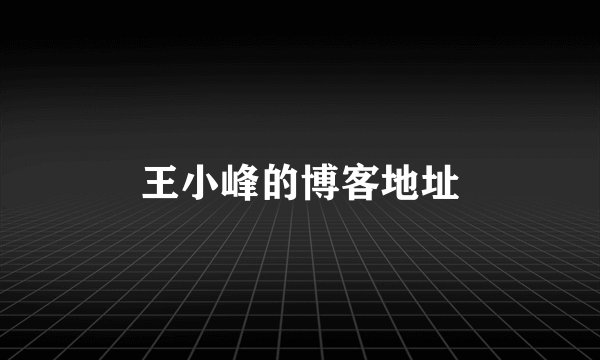 王小峰的博客地址
