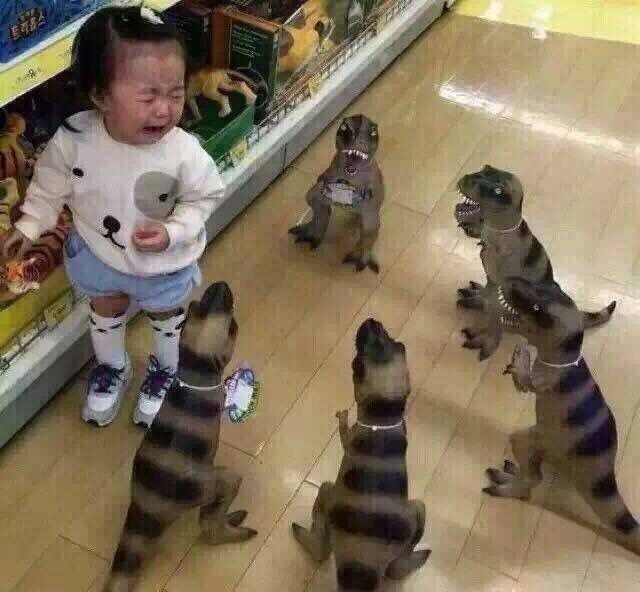 你收集过最搞笑的图片有哪些?