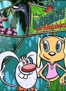 小布与伟仔的介绍