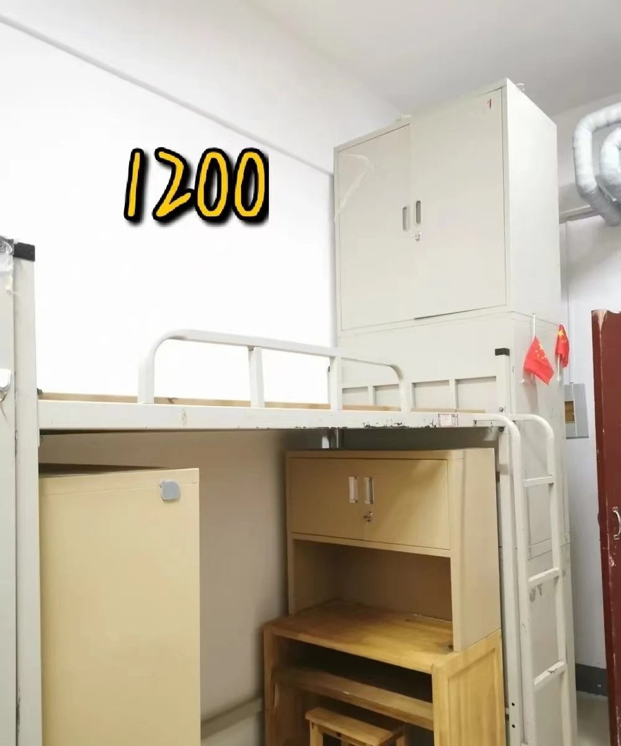 山东外国语职业技术大学好不好