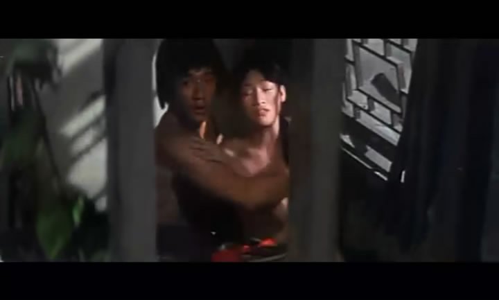 花飞满城春的剧情简介