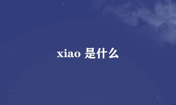 xiao 是什么