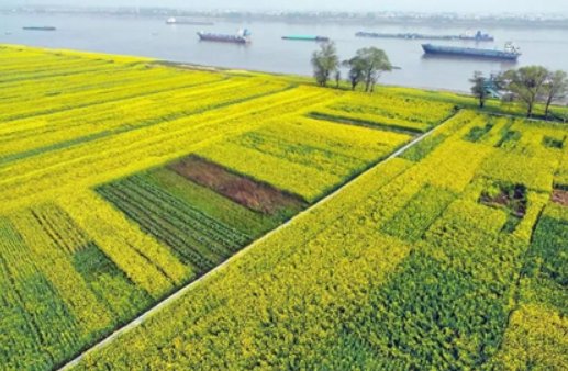 江洲是哪个省份的?