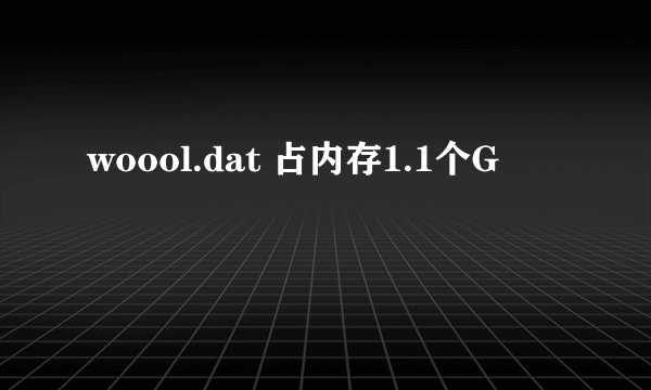 woool.dat 占内存1.1个G