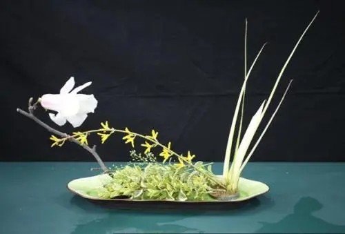 论述插花艺术的作用并举例说明?