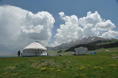 新疆全面恢复正常生产生活秩序后将会做出哪些安排?