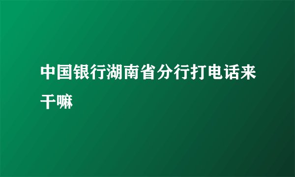 中国银行湖南省分行打电话来干嘛