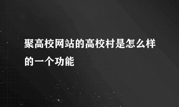 聚高校网站的高校村是怎么样的一个功能