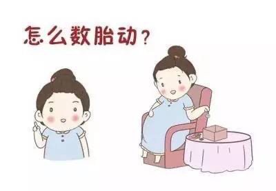 该如何数胎动呢?