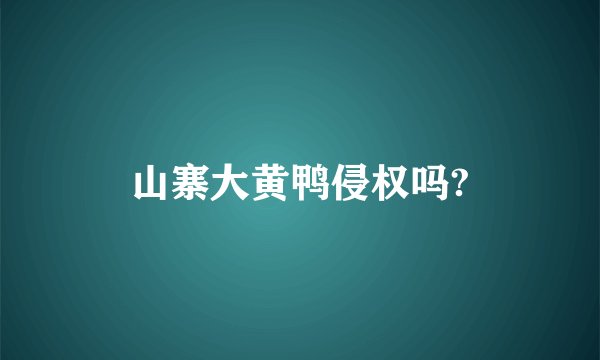 山寨大黄鸭侵权吗?