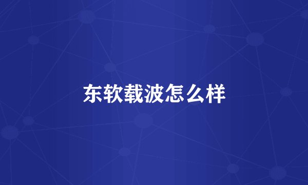 东软载波怎么样