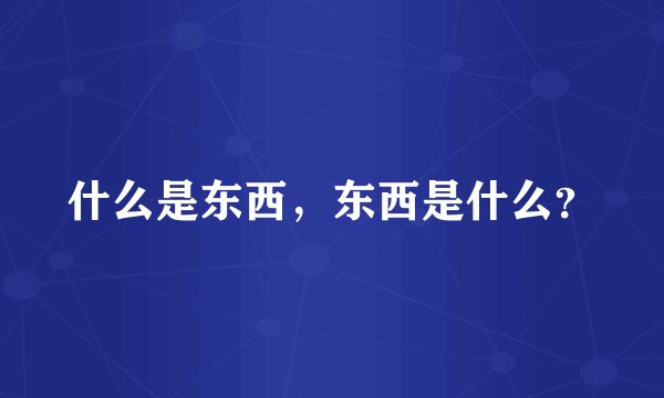 什么是东西,东西是什么?
