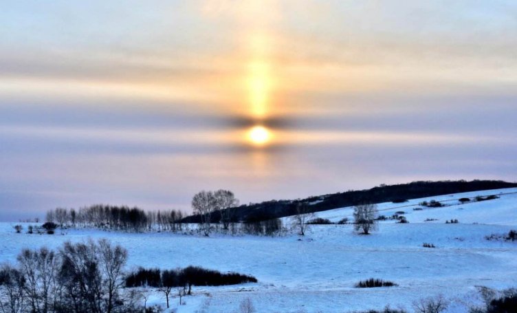 2019年数九天,一共多少天,从什么时间开始?