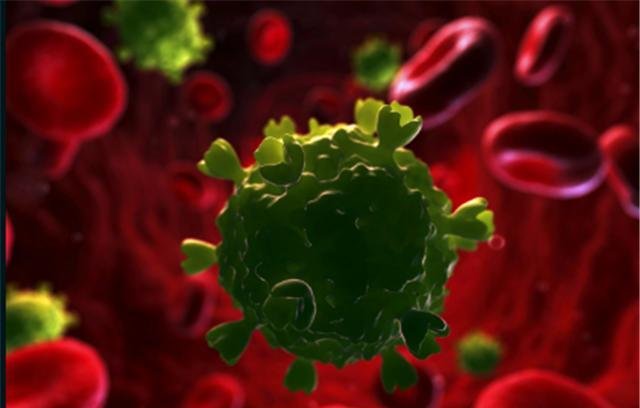 艾滋病毒来源于猩猩,第一个感染的人类,到底对猩猩做了啥?