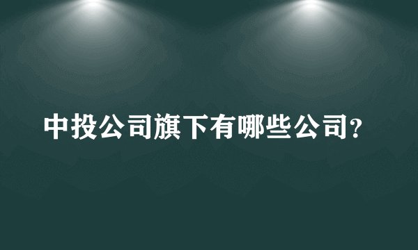 中投公司旗下有哪些公司?