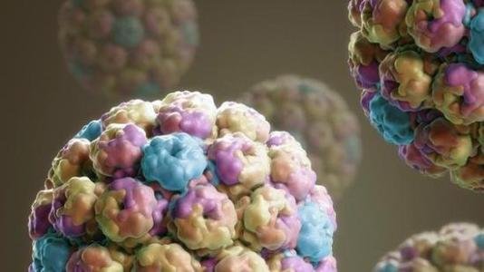 艾滋病毒来源于猩猩,第一个感染的人类,到底对猩猩做了啥?