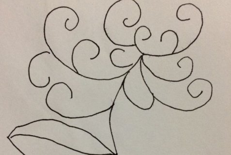 简单的菊花应该怎么画