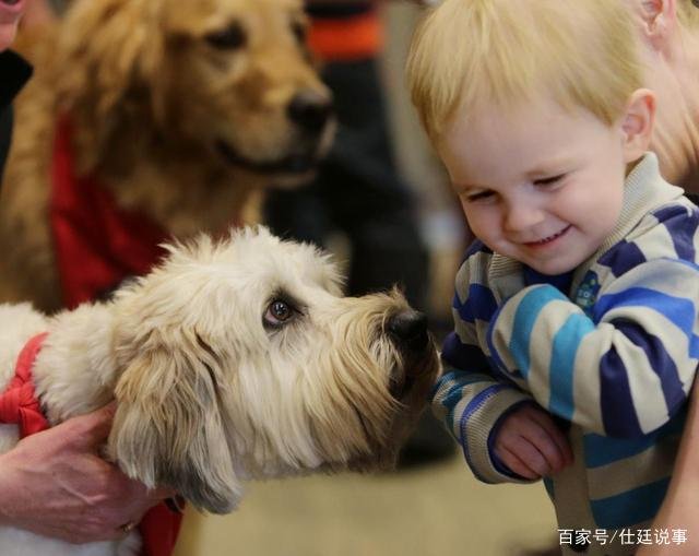 陪孩子长大的狗狗突然去世了，家长该怎么安慰孩子？
