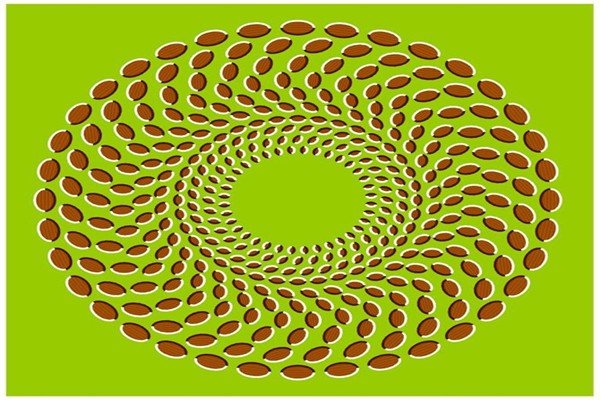 家庭作业是什么?