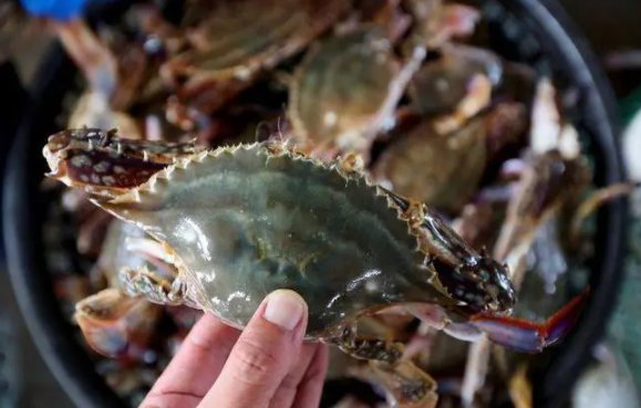 南京一饭店被曝偷换顾客螃蟹,工作人员对此是如何回应的?