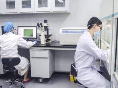 印度各地发现240种变异新冠病毒,变异后的病毒有什么特点?