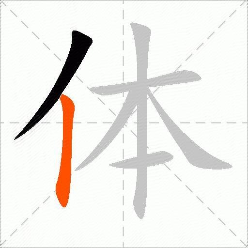 体的写法田字格