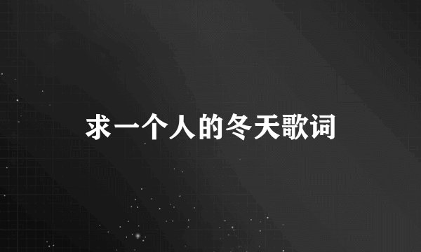求一个人的冬天歌词