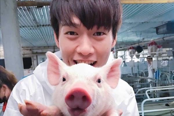 继同戴一顶帽子后,魏大勋杨幂被爆先后入住同一酒店,恋情是否实锤?