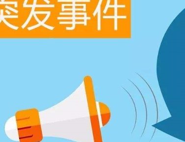 突发事件应急管理的原则是什么?