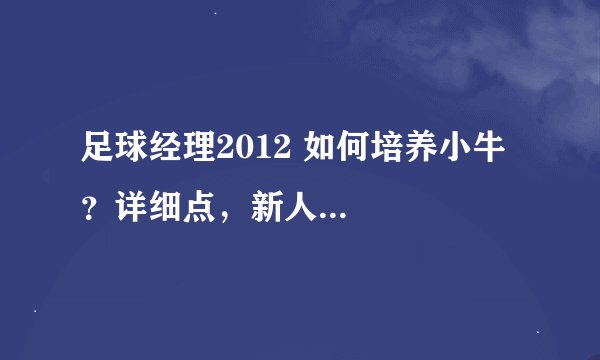 足球经理2012 如何培养小牛?详细点,新人...