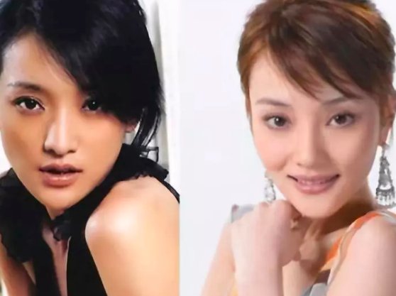 都有哪些明星撞脸了?