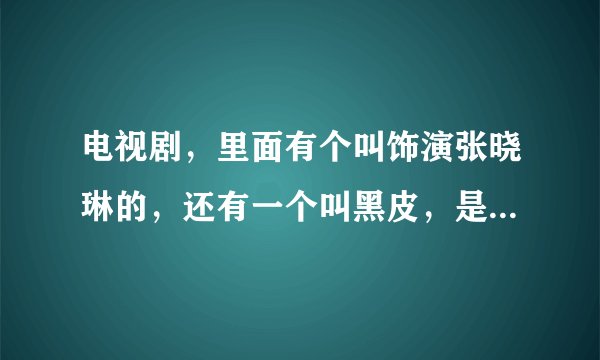 电视剧,里面有个叫饰演张晓琳的,还有一个叫黑皮,是警察和犯罪的那种好象,