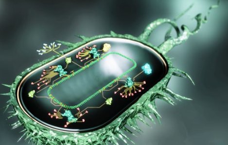 什么是合成生物学?