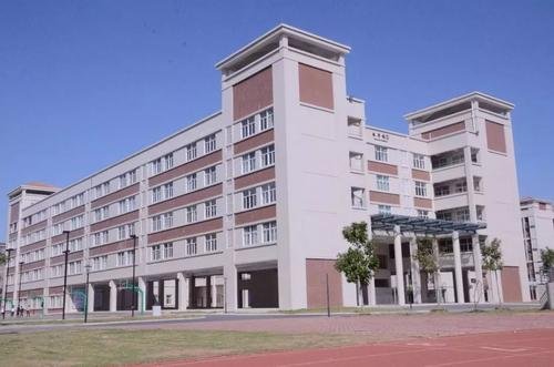 9岁男童被高年级同学罚跪磕头致抑郁，校方是否需要为此负一定的责任？