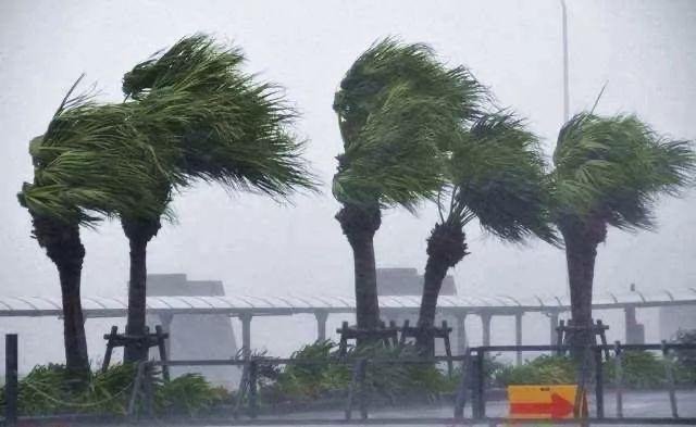 台风“烟花”将至上海,台风究竟是如何形成的?