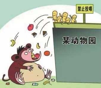 北京野生动物园一游客疑将口罩喂给动物?当事人如何回应?