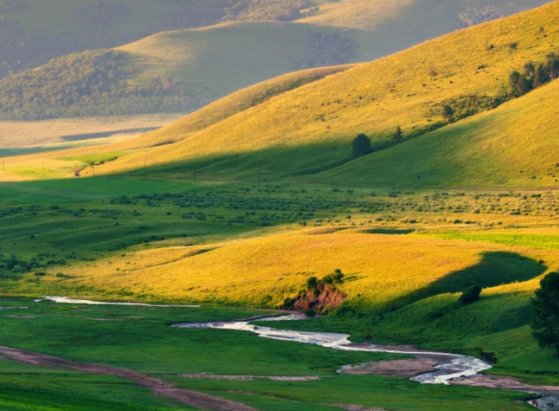 什么是大地的女儿?